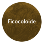 ficocoloide