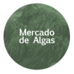 mercado-de-algas